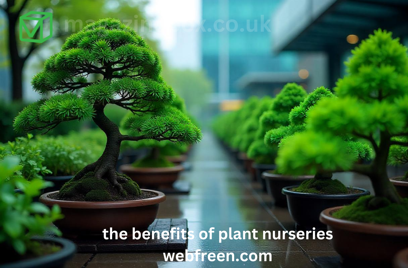 the benefits of plant nurseries webfreen.com