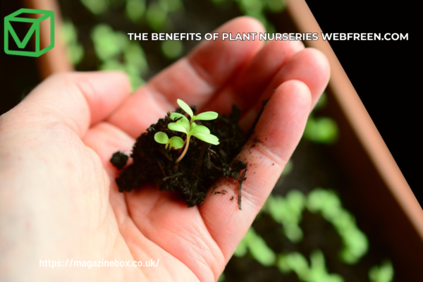 The Benefits of Plant Nurseries Webfreen.com