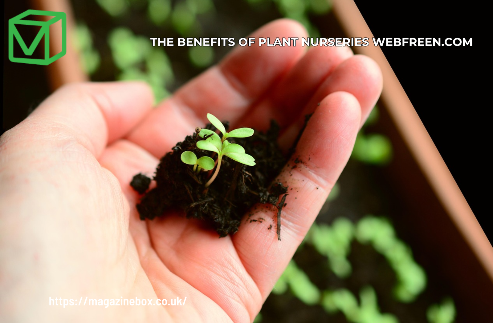 The Benefits of Plant Nurseries Webfreen.com